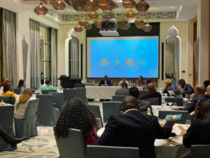 Africa Family Office Investment Summit Feb 23 (6)